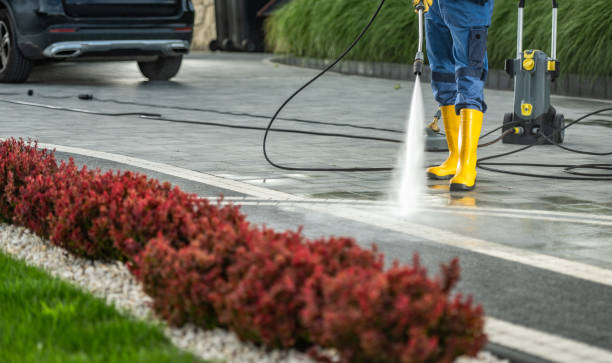 Best Soft Washing for Delicate Surfaces in Kewanee, IL